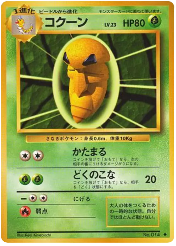Carta コクーン de 拡張パック