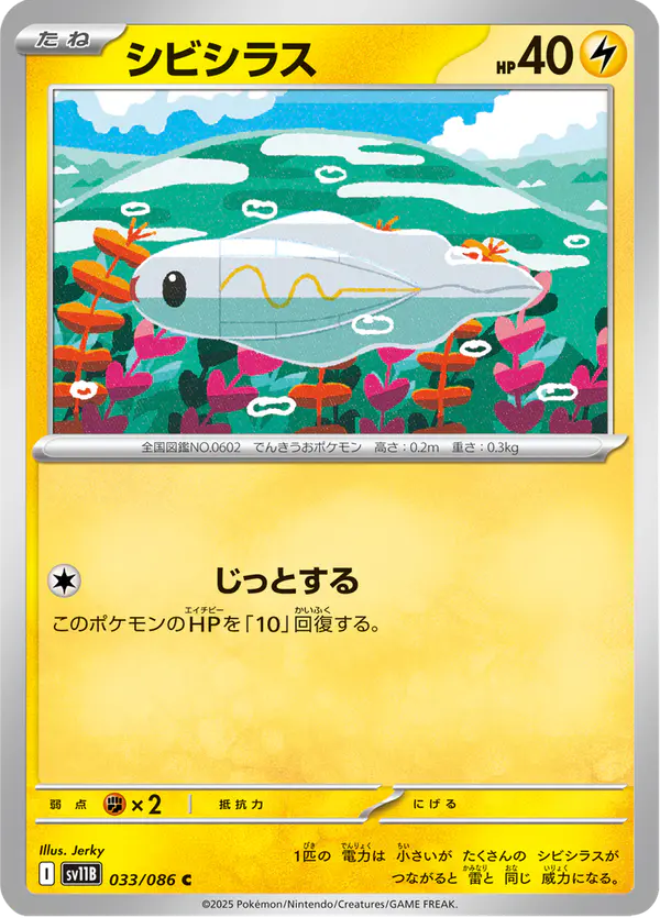 Carta シビシラス 033/174 de ブラックボルト
