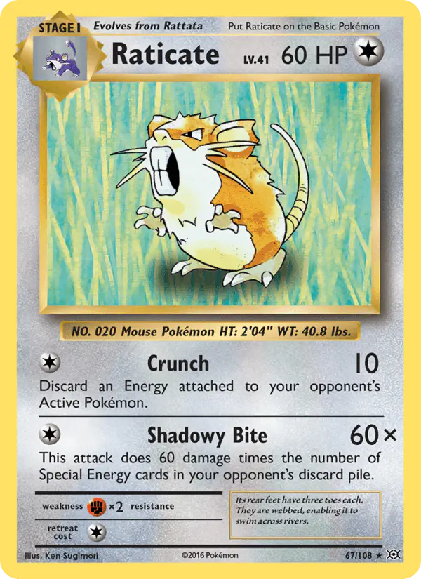 Carta Raticate 67/108 de Evolutions