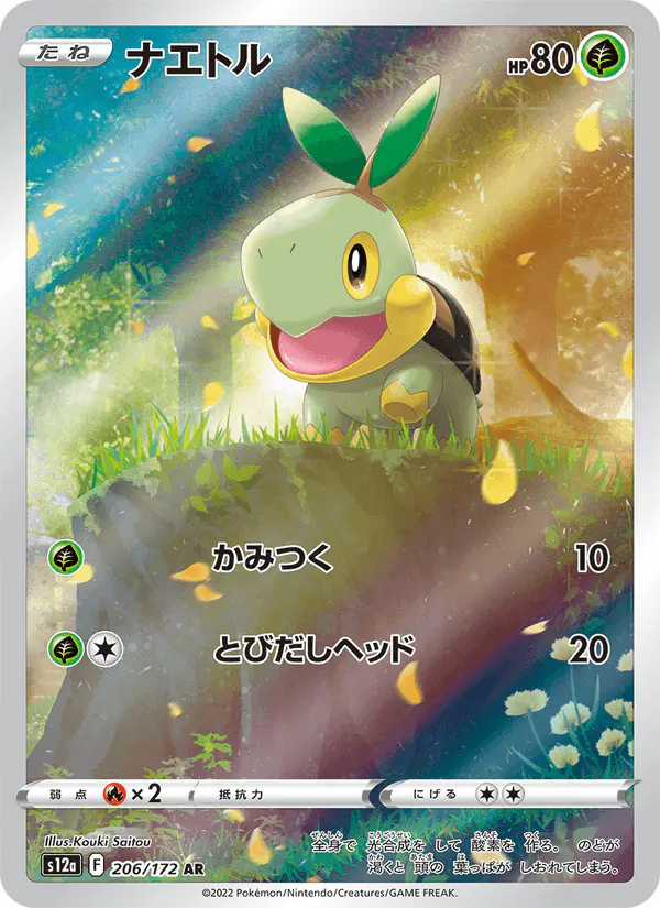 Carta ナエトル 206/172 de VSTARユニバース
