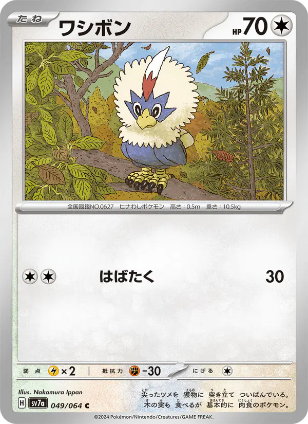 Carta ワシボン 049/064 de 楽園ドラゴーナ