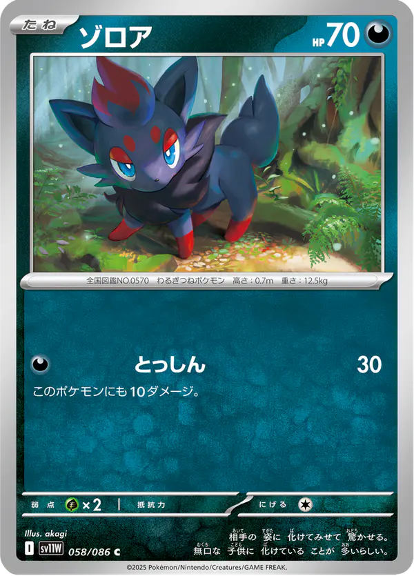 Carta ゾロア 058/086 de ホワイトフレア