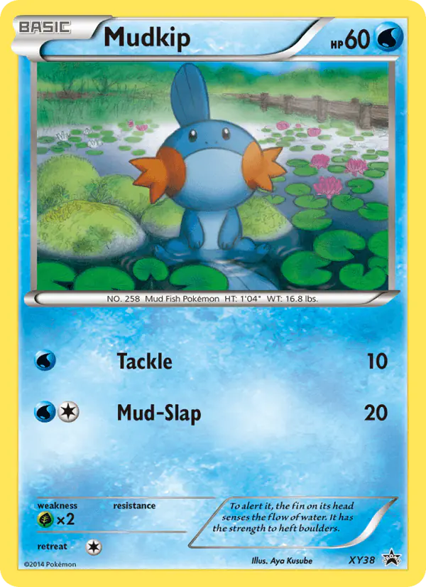 Carta Mudkip XY38 de XY Black Star Promos