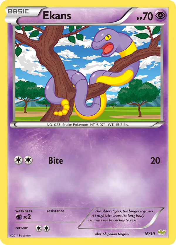 Carta Ekans 16/30 de XY trainer Kit (Noivern)